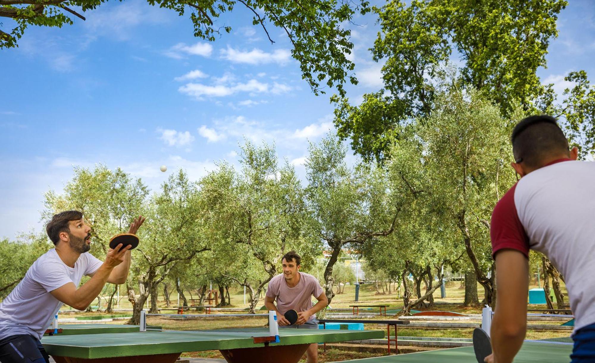 Aminess Planet Camping Maravea Resort - Pitches Novigrad  Exterior photo